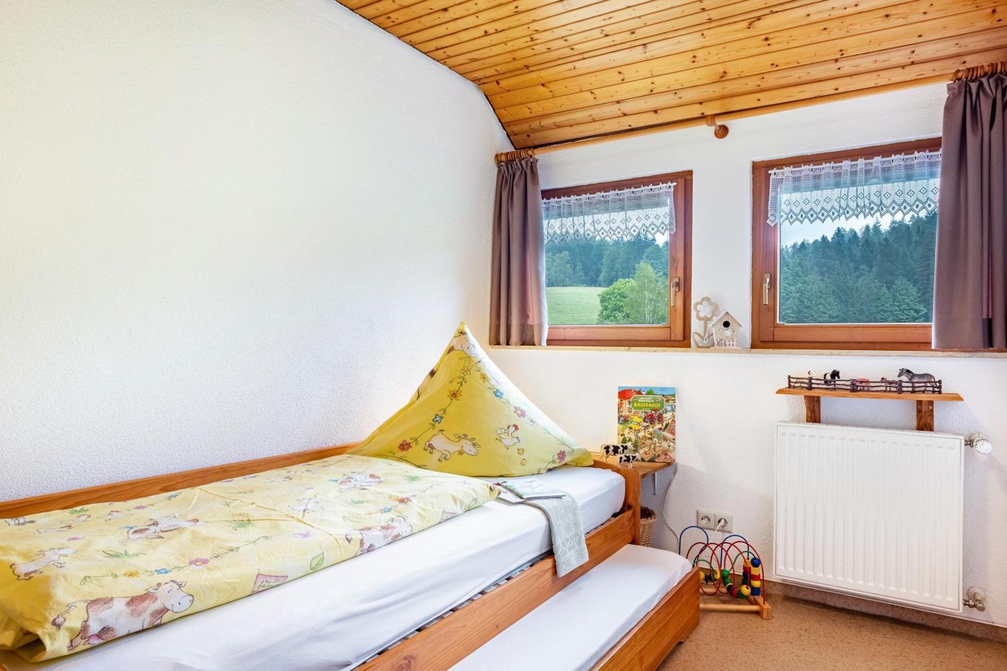 Schreinerhaeusle Naehe Titisee Himmelreich Exterior foto